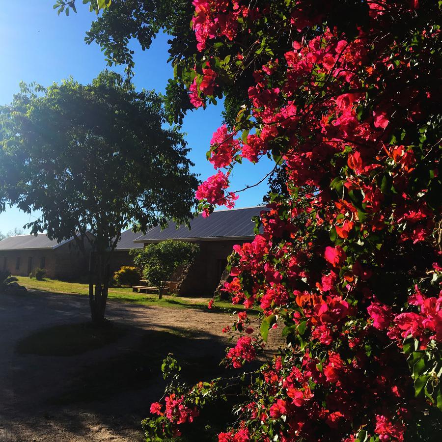 Seven Fountains Farm Grahamstown Exterior foto